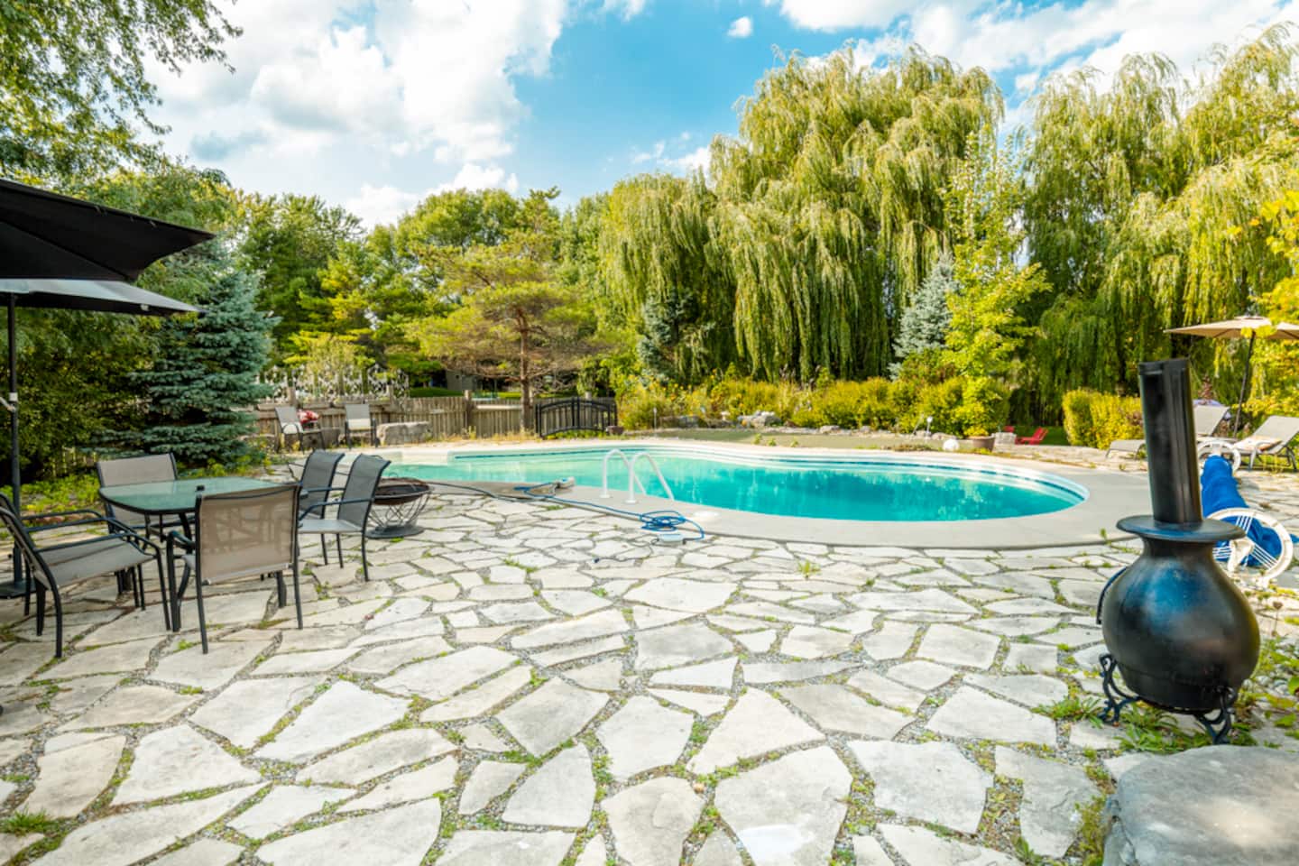 Stone patio and pool under the willows